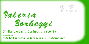 valeria borhegyi business card